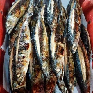 CÁ NỤC NƯỚNG THAN. 1KG