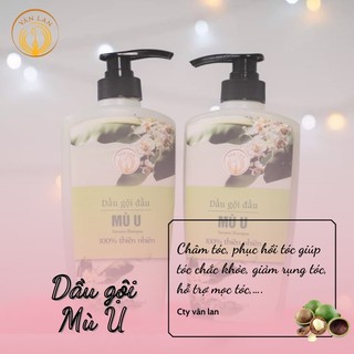 Dầu gội đầu MÙ U Tamau oil thiên nhiên hỗ trợ ngứa, nấm, gàu, khô xơ,…