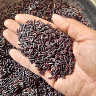 Gạo lứt đen dẻo .lứt than điện biên 5kg