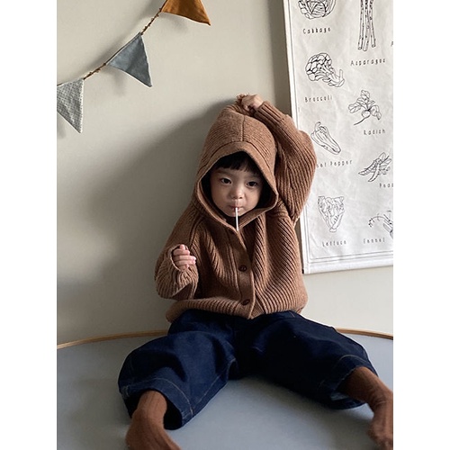 Áo Hoodie Đính Banh Lông Dễ Thương Cho Bé