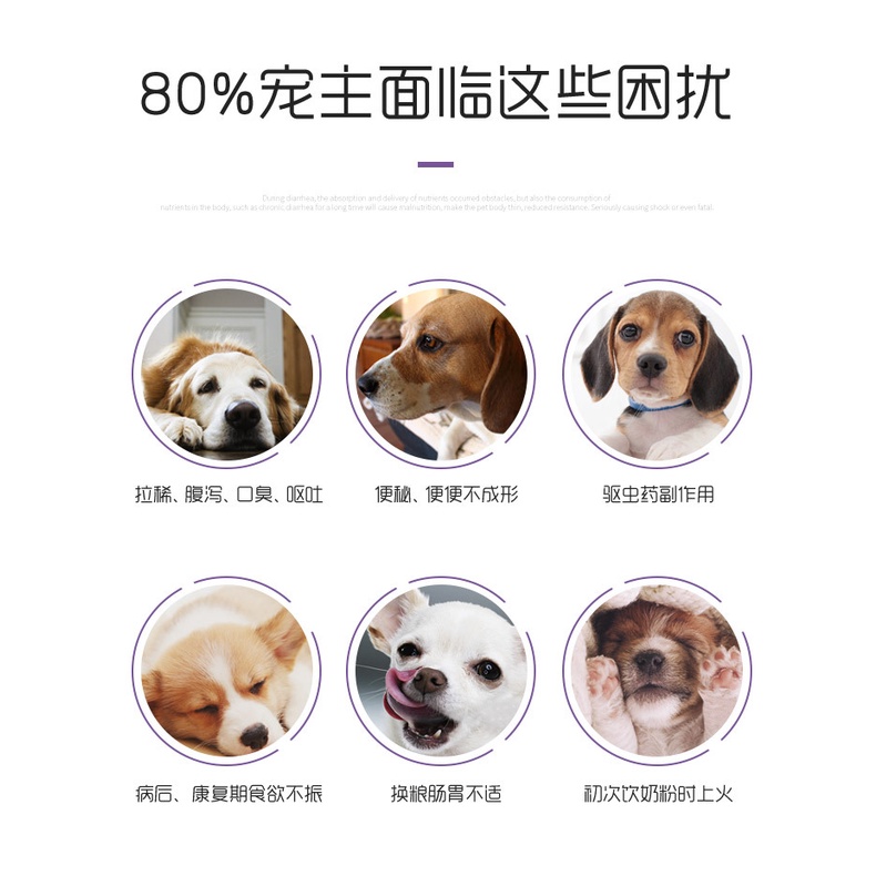 Men vi sinh cho mèo Borammy hỗ trợ tiêu hoá cho chó với Probiotic ngừa nôn mửa tiêu chảy BM15