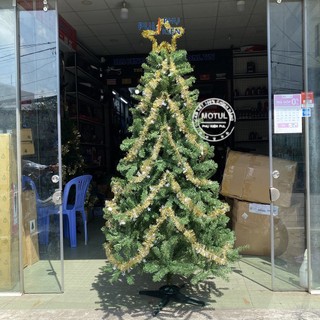 Cây thông noel 2M XANH TRƠN chân nhựa tặng ngôi sao đỉnh và dây kim tuyến decor trang trí giáng sinh