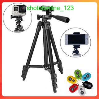 Gậy Chụp Hình Tripod 3 Chân Thân Nhôm TF 3120 Cho Điện Thoại, Máy Ảnh R