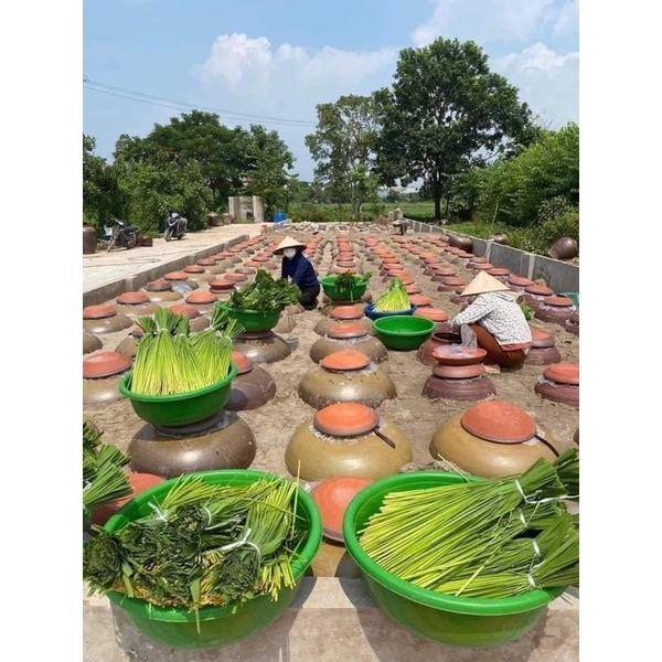 1L RƯ.Ơ.U đòng đòng lúa nếp hạ thổ thơm ngon - HÀNG ĐẢM BẢO CHẤT LƯỢNG 100% - DƯỢC LIỆU HÀ HOÀNG