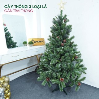 Cây Thông Noel cao 2m tán dày 3 loại lá, phủ tuyêt 2m Hàng Loại Đẹp Tặng Kèm Phụ Kiện