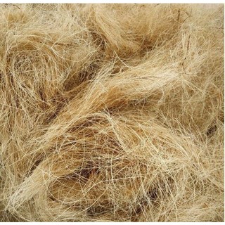 Chỉ Xơ Dừa ( Sợi Dừa) Giá Thể Trồng Lan - 100g