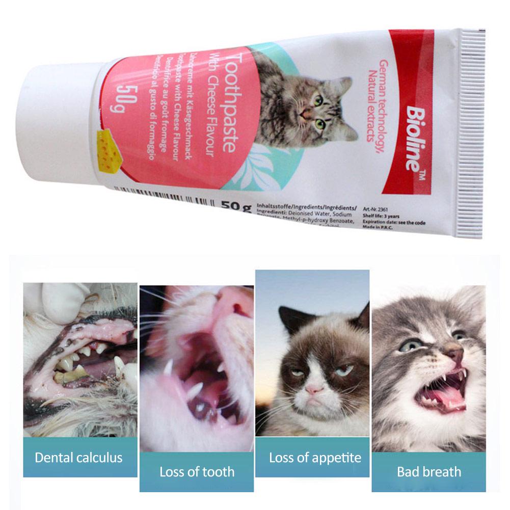 Kem đánh răng cho mèo kèm bàn chải và các dụng cụ vệ sinh Bioilne 50g giúp miệng giảm hôi và ngừa vôi răng hương phô mai