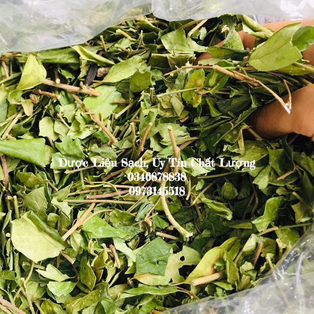 1kg Dây Thìa Canh Khô Sấy Lạnh, Lá xanh mướt ổn định đường huyết