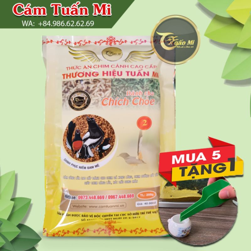 CHOÈ ĐẤU HÓT