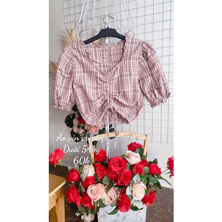 Áo vin dáng croptop