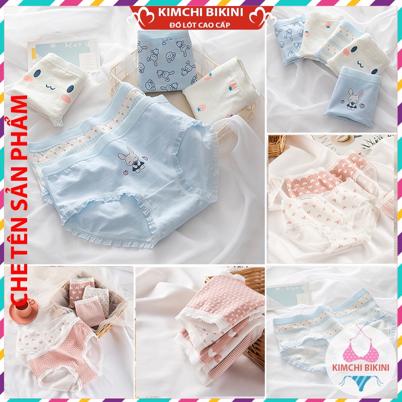 Quần Nót Nữ Cotton Cute Dễ Thương Chip Cạp Thấp Nâng Mông Thông Hơi KIMCHIBIKINI quần Silit mẫu mã đa dạng với nhiều màu