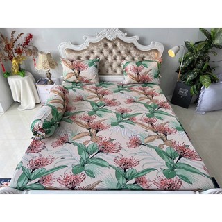 Bộ 4 drap/ga áo gối THUN LẠNH HÀN QUỐC