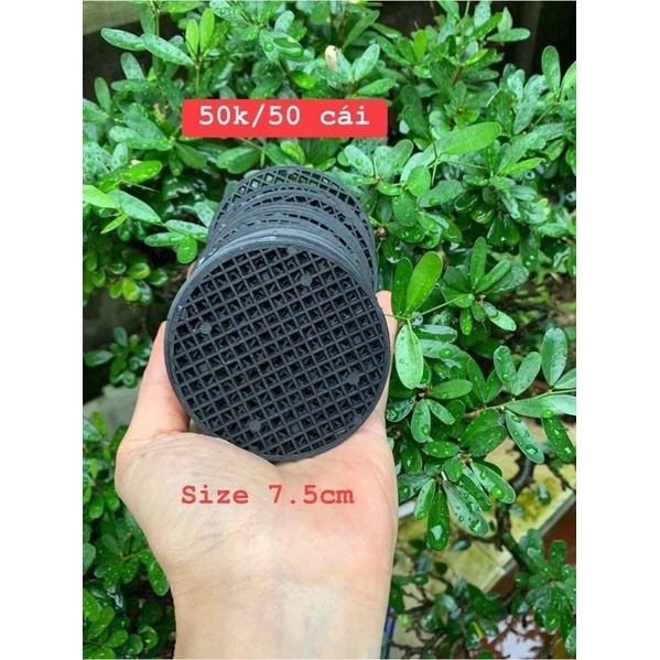 Set 50 lót chậu (3 size tuỳ chọn)