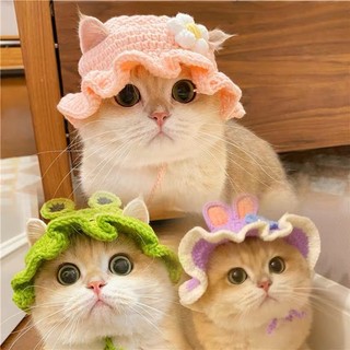 Các mẫu nón khoét tai cho mèo, cún ,thỏ,…..