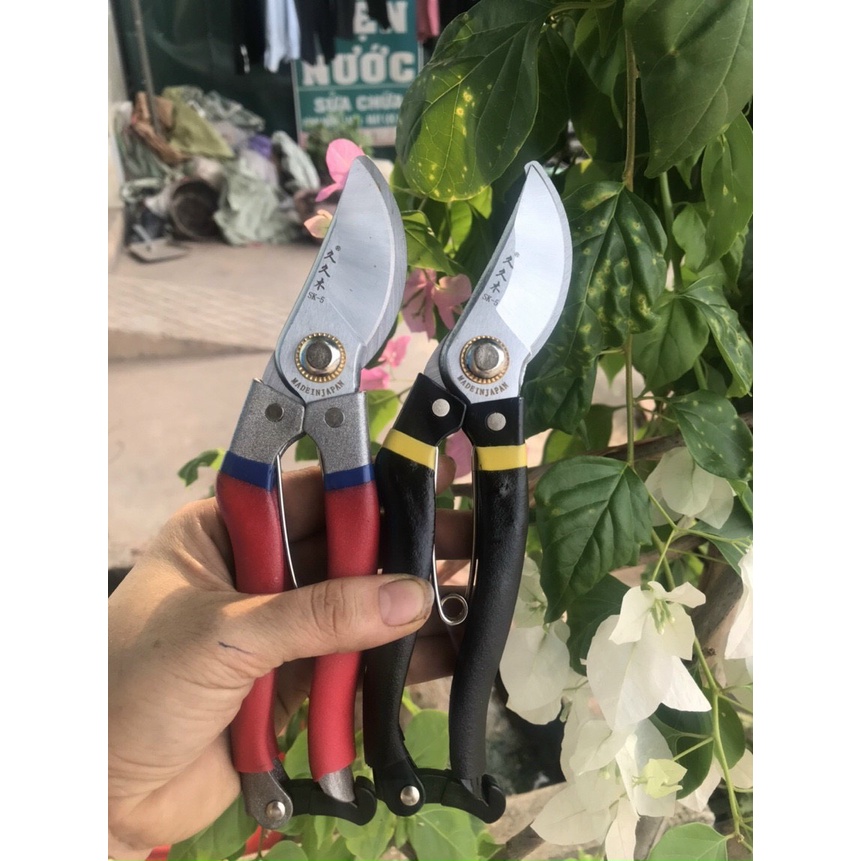 Kéo cắt cành SK5