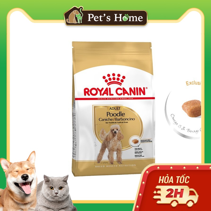 1,5kg Hạt Royal Canin chuyên cho giống chó Poodle Adult trên 10 tháng tuổi
