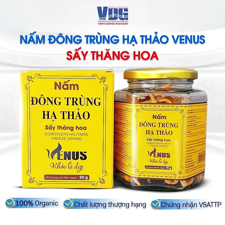 Nâm đông trùng hạ thảo Venus sấy thăng hoa 20g-Vien Dong Sai Gon
