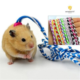 Dây Dắt Chuột Hamster Đi Dạo 1.4 / 2m