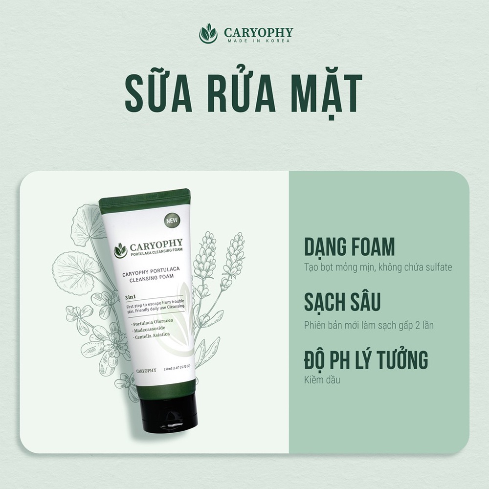 Sữa rửa mặt Caryophy portulaca, glass skin 3 in1 dành cho da mụn, sạch khuẩn, ngừa mụn 150ml 120ml NPP Tido88