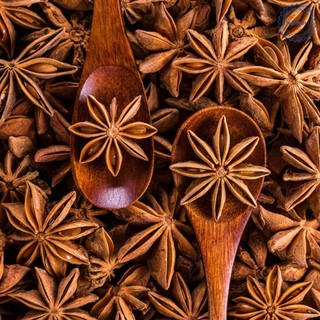 Hoa hồi Lạng Sơn - hàng loại 1 trang trí, pha nước, gia vị nấu ăn 100g, 200g