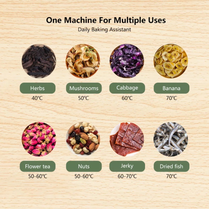 Máy sấy thực phẩm và trái cây 6 tầng thương hiệu Biolomix BFD806 BPA FREE - Hàng Nhập Khẩu