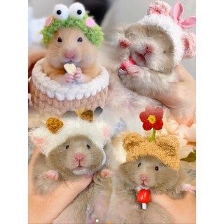 Nón cho hamster, sóc, rat, bọ ú,.... Bảng 2