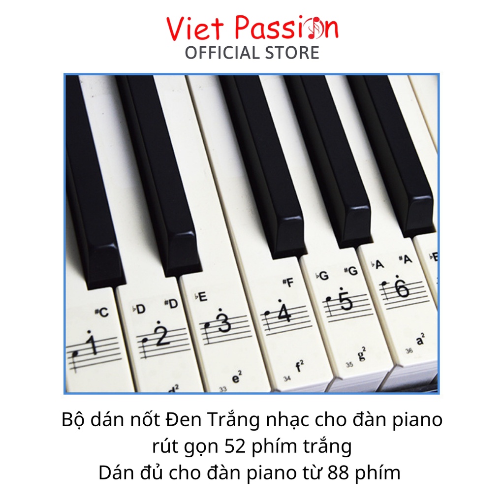 Sticker dán nốt bàn phím đàn piano organ Decal đánh dấu vị trí note nhạc dùng cho các phím đàn 88 76 61 54 36vietpassion