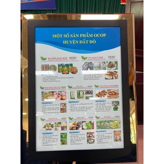 HẠT ĐIỀU RANG MUỐI VỎ LỤA (LOẠI HỦ)
