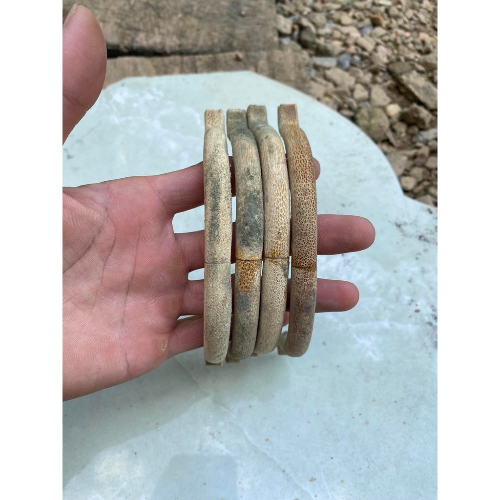 Nước tẩy mốc - Nước tẩy mốc lồng chim, đồ dùng tre gỗ lâu ngày bị ẩm mốc