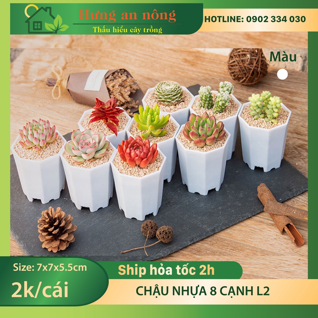 Chậu trắng 8 cạnh L2 size 7cm - nhựa PP chuyên trồng bonsai mini, sen đá xương rồng để bàn