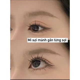 Mi sợi chỉ mảnh