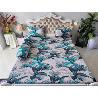 Bộ 4 drap/ga áo gối THUN LẠNH HÀN QUỐC