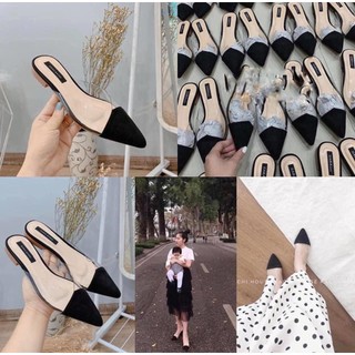 Dép sục nữ mũi nhọn phối quai trong đếp xẹp