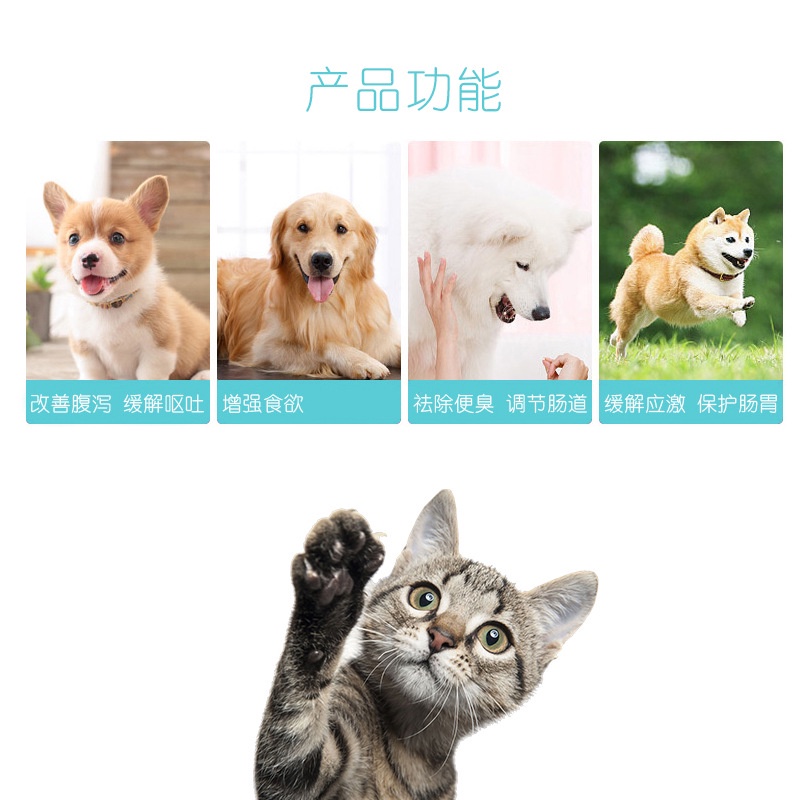Men vi sinh cho mèo Borammy hỗ trợ tiêu hoá cho chó với Probiotic ngừa nôn mửa tiêu chảy BM15