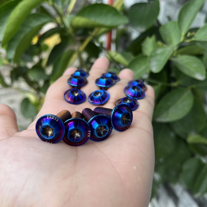 Ốc đĩa proti inox 304 mạ titan