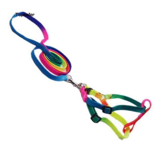 DÂY DẮT CẦU VỒNG DẠNG YẾM CHO CHÓ MÈO ĐI DẠO CHẤT LIỆU DÙ TẾT CỰC BỀN OngVang_89