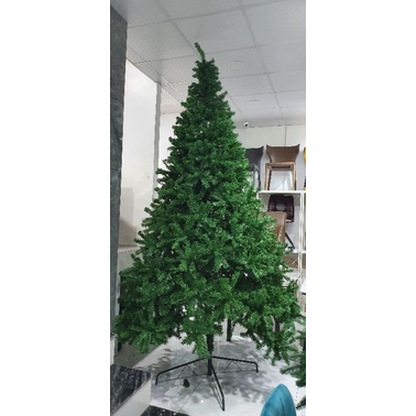Cây thông noel 3m loại dày lá ( cây thông xanh chưa trang trí)