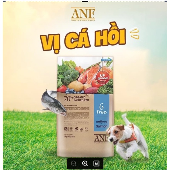 THỨC ĂN HẠT CHO CHÓ ANF 6FREE 2kg– Hạt hữu cơ, đảm bảo 6 không