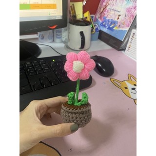 chậu hoa len mini