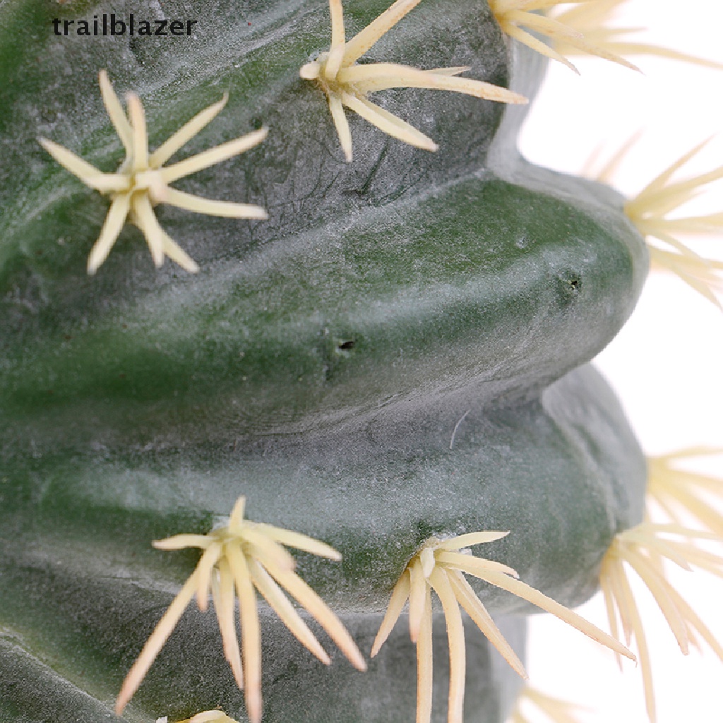 1x Ăng Ten Bút Trang Trí Xe Hơi Hình Cây Xương Rồng Vui Nhộn Áo Thun In Hình Hoạt Hình Xinh Xắn Cho Nữ