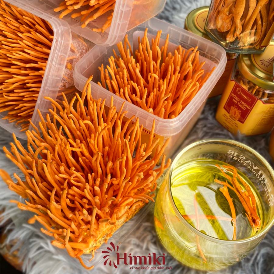 Đông trùng hạ thảo tươi trên giá thể gạo lứt Himiki hộp 180g-200g ( có thể tích hợp với ăn chay )