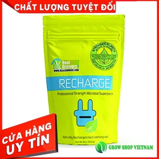 Bột kích rễ Recharge