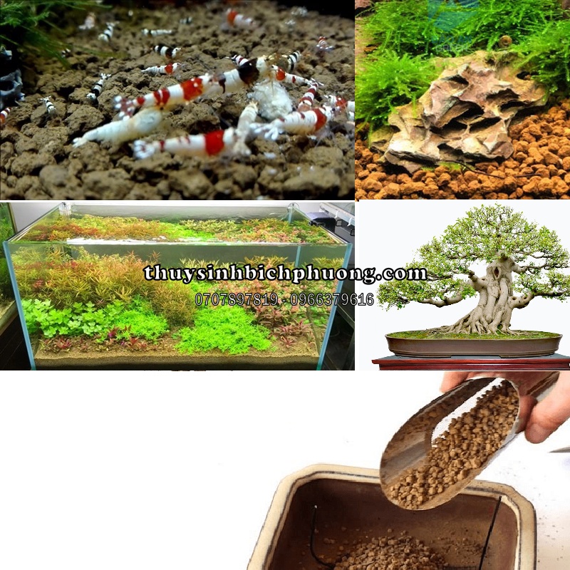 PHÂN NỀN AKADAMA  TÚI 1L - ĐẤT NỀN TRÔNG CÂY THỦY SINH VÀ TIỂU CẢNH, SEN ĐÁ, NUÔI TÉP.