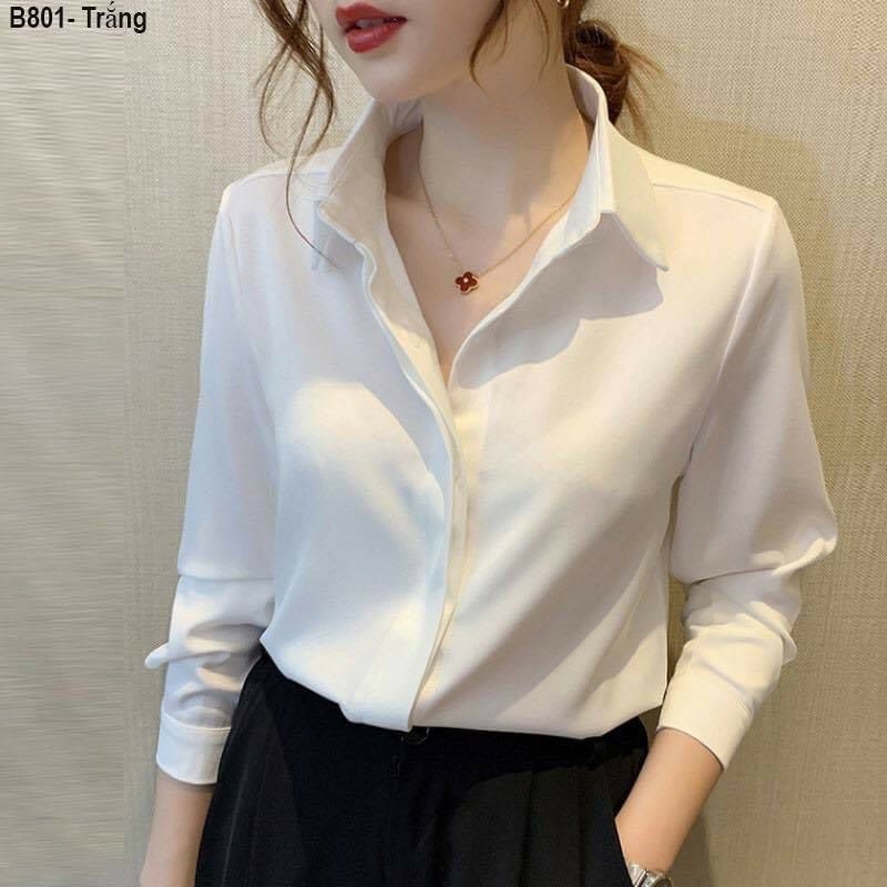 Áo sơ mi lụa tằm cao cấp - B801 - trắng