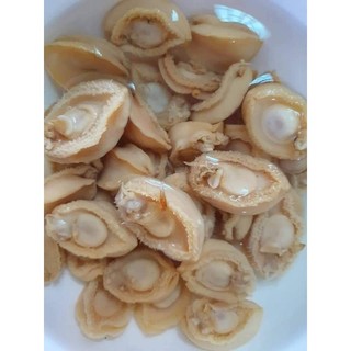 Bào Ngư Khô Mini 100g
