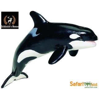 Mô hình động vật , đồ chơi con vật Safari Ltd chính hãng Cá voi sát thủ 210202 - Schleich House