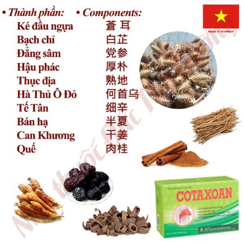 Cotaxoan - hắt hơi sổ mũi, đau nhức vùng đầu trán xoang - Hộp 50 viên