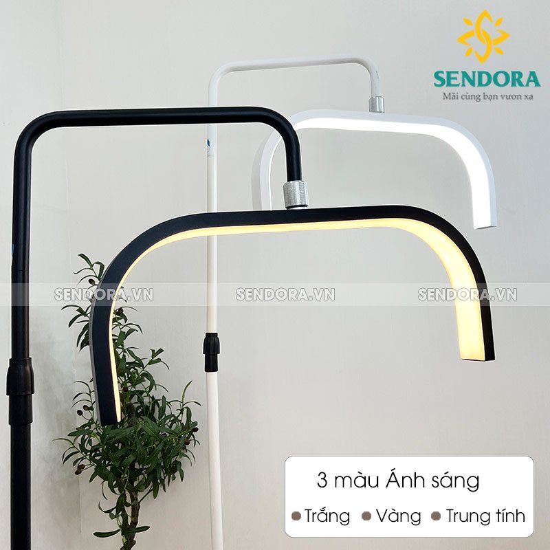 Đèn Spa Led chữ U, Đèn Led Phun xăm 3 chế độ sáng U-3C Sendora