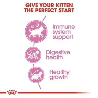 [Có sẵn] Hạt Royal Canin Kitten Cho Mèo Con