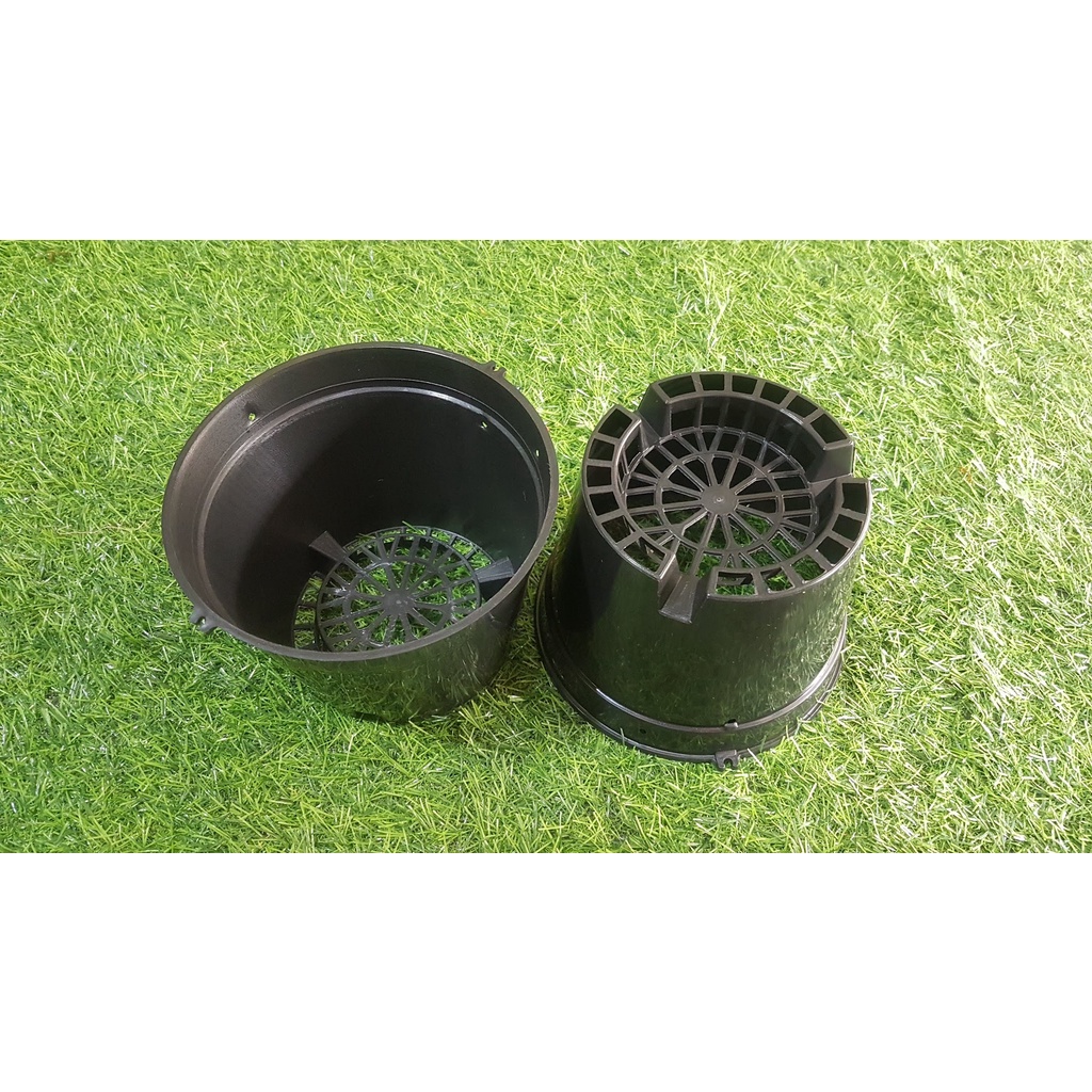 Combo 5 chậu đen trồng lan phi 16cm bít lỗ.